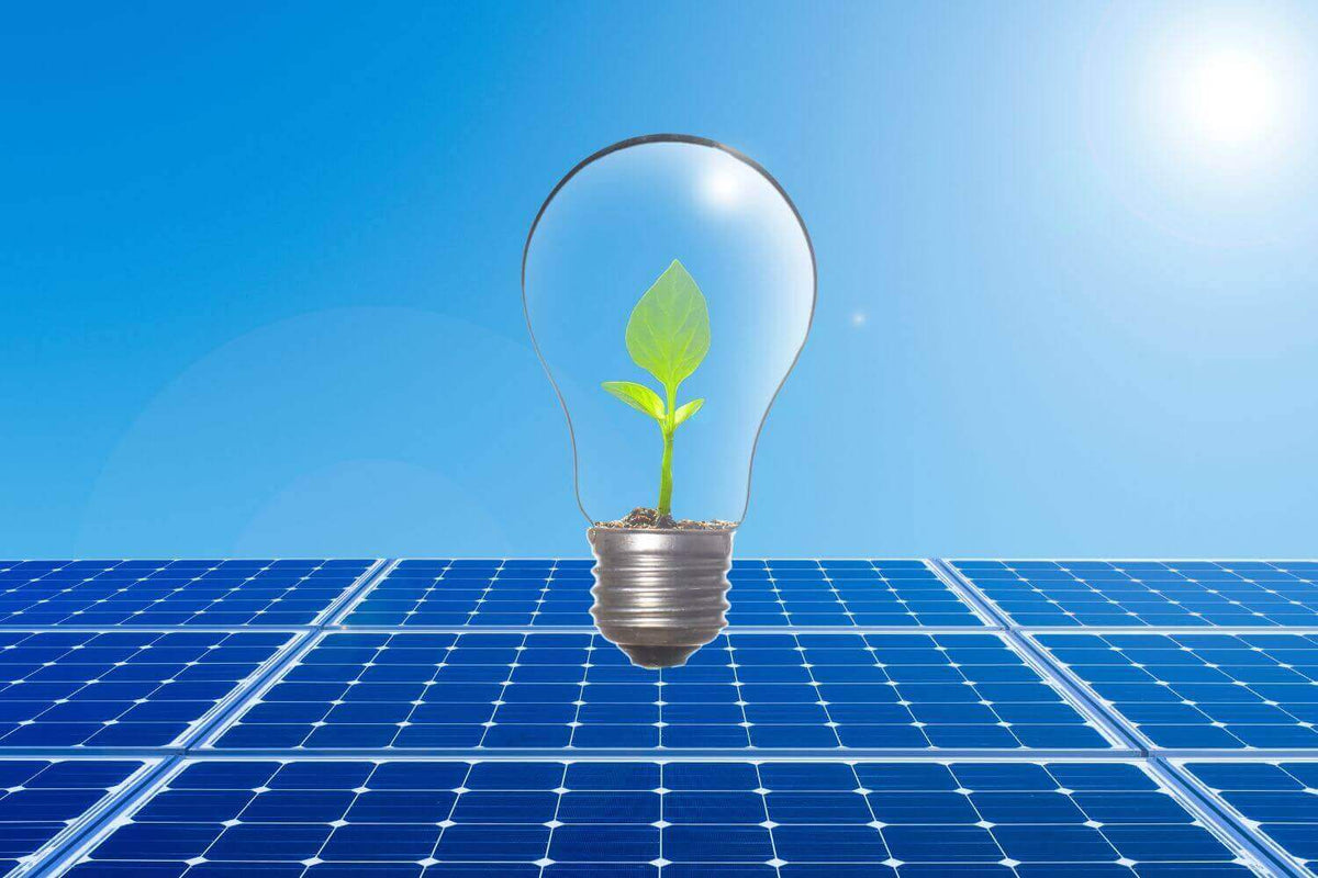 Glühbirne mit sprießender Pflanze auf Sonnenkollektoren, symbolisiert erneuerbare Energie und nachhaltiges Wachstum.