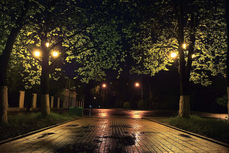 Beleuchteter Gartenweg in der Nacht mit Bäumen und Straßenlaternen, die das Pflaster erhellen.