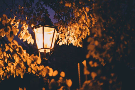 Laterne leuchtet durch laubbehängte Äste in der Herbstnacht, ideal für stimmungsvolle Inspirationen.