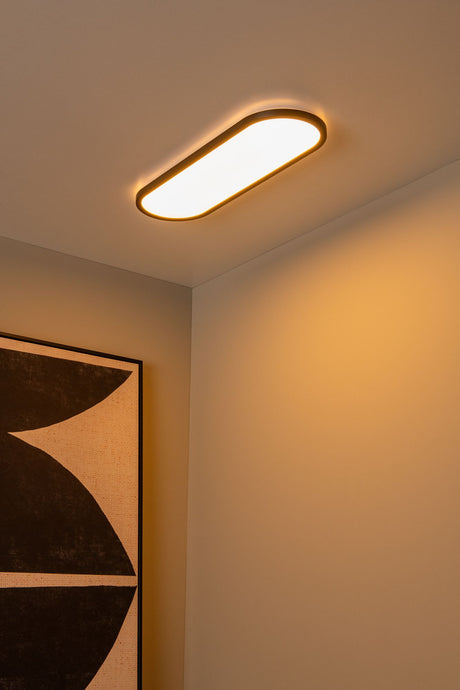 LED-Lámpara de techo Elly regulable con CCT 60 cm (1)