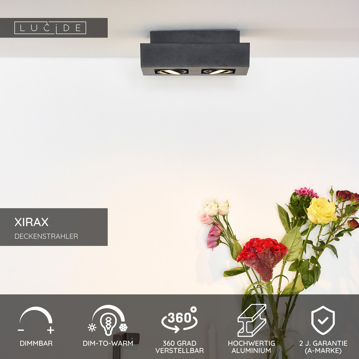 LED-Deckenstrahler Xirax 2-flammig dimmbar (6)