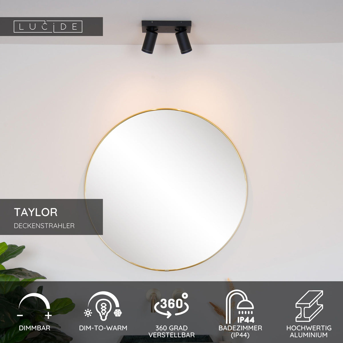 LED-Bad-Deckenstrahler Taylor 2-flammig dimmbar IP44 (7)