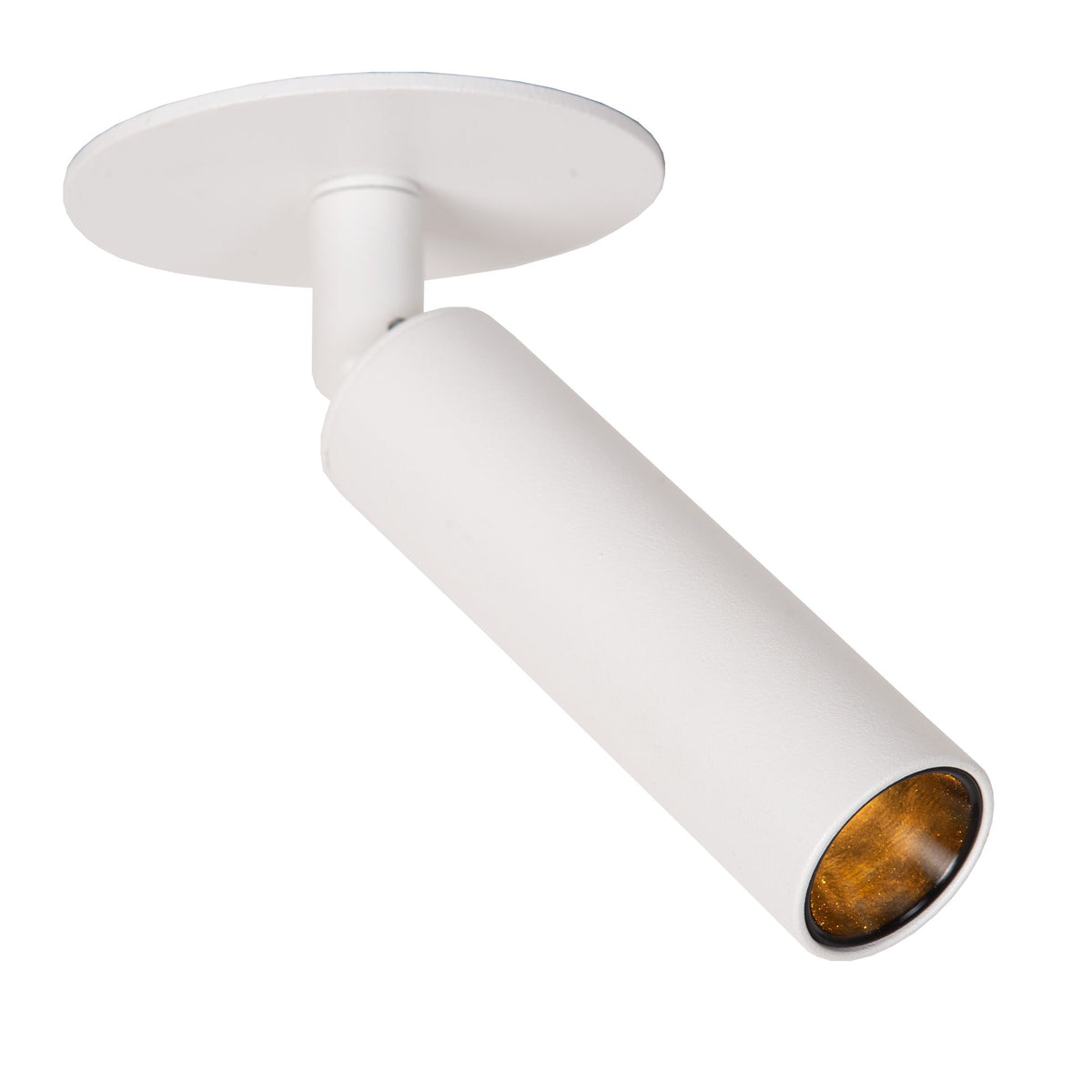 Spot de plafond Keoni à 1 lumière, orientable et pivotant Ø 8cm (3)