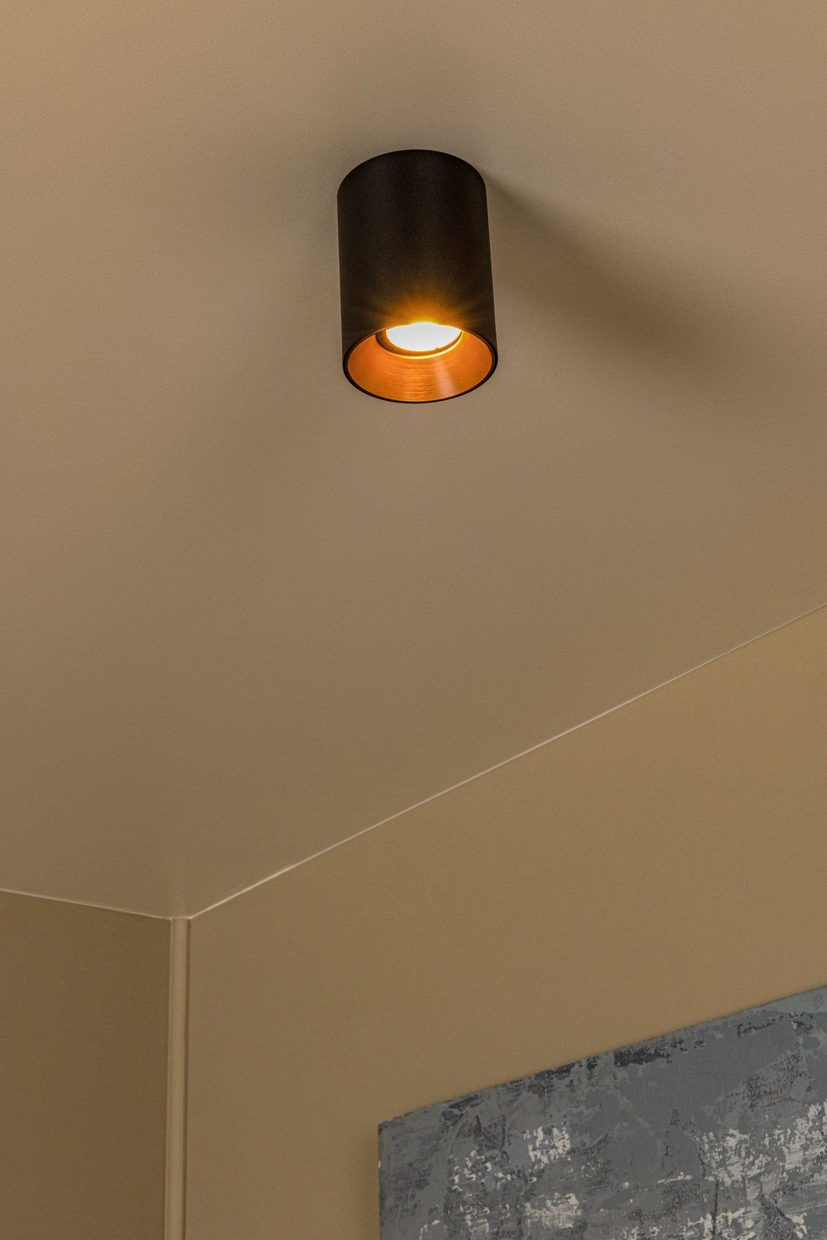 Plafondspot Gerti 1-lichts cilinder aluminium dimbaar (5)