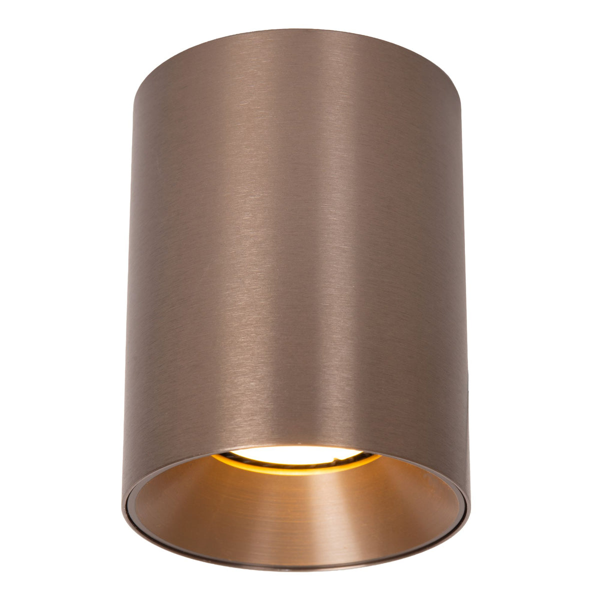 Plafondspot Gerti 1-lichts cilinder aluminium dimbaar (1)