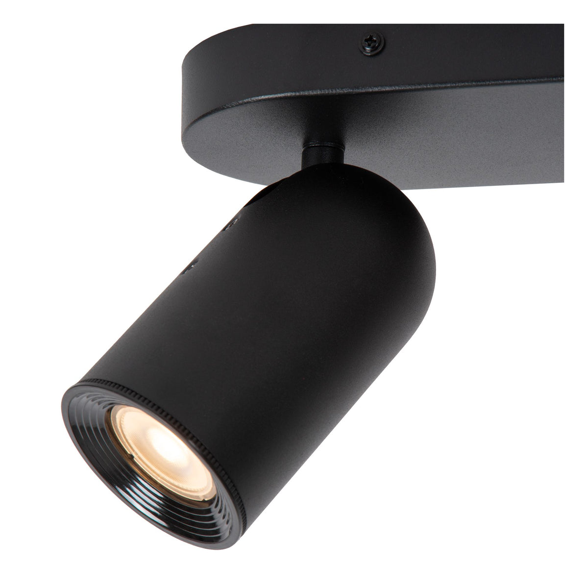 Deckenstrahler Punch 2-flammig schwenkbar (4)
