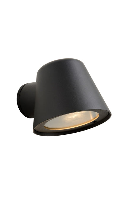 LED-Außenwandleuchte Dingo dimmbar IP44 (2)