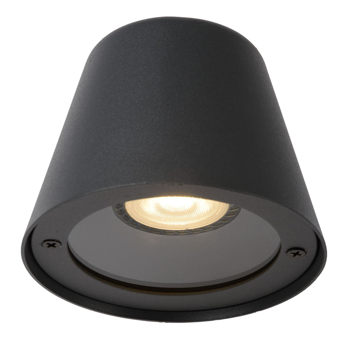 LED-Außenwandleuchte Dingo dimmbar IP44 (3)