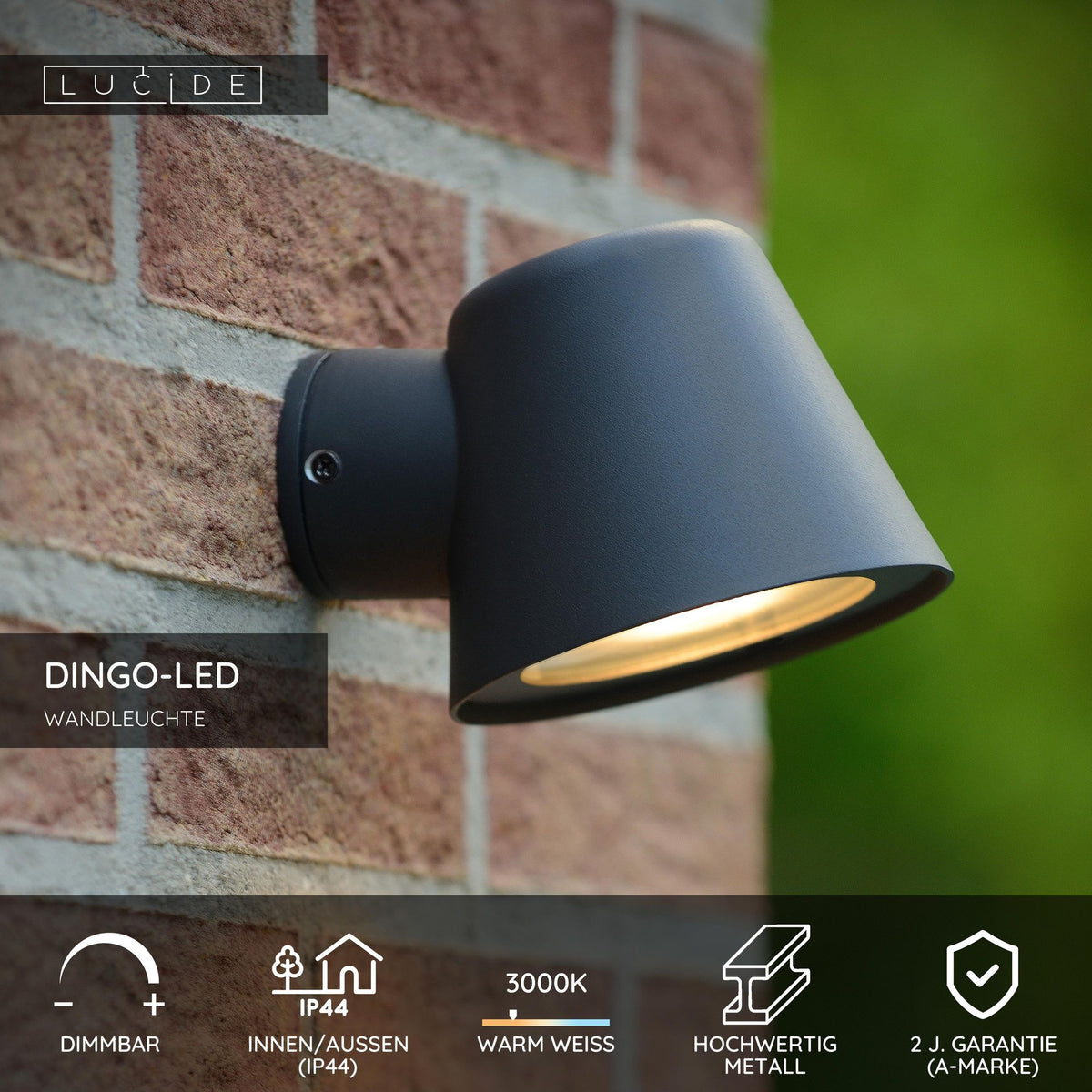 LED-Außenwandleuchte Dingo dimmbar IP44 (5)