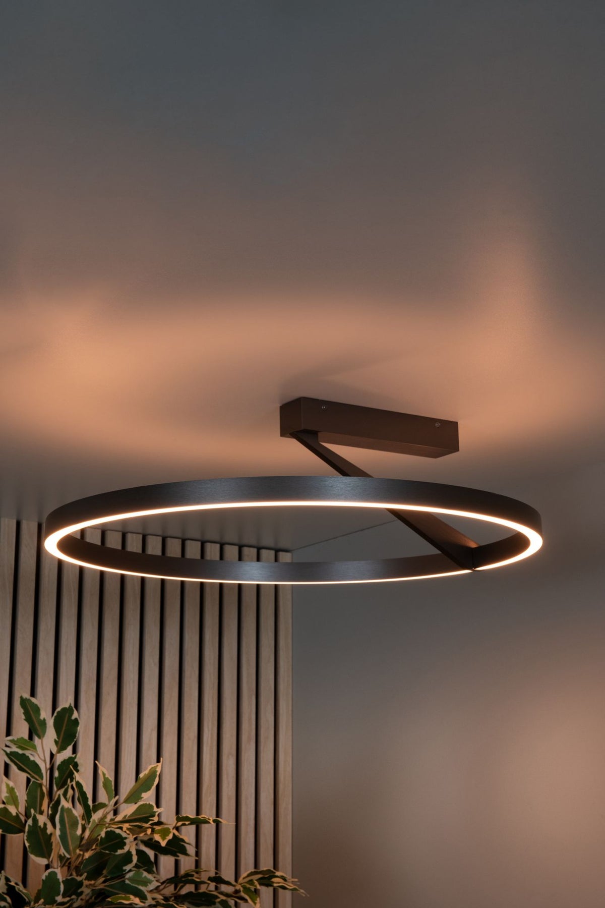 LED-Plafonnier Applause dimmable CCT avec télécommande Ø 60 cm (3)