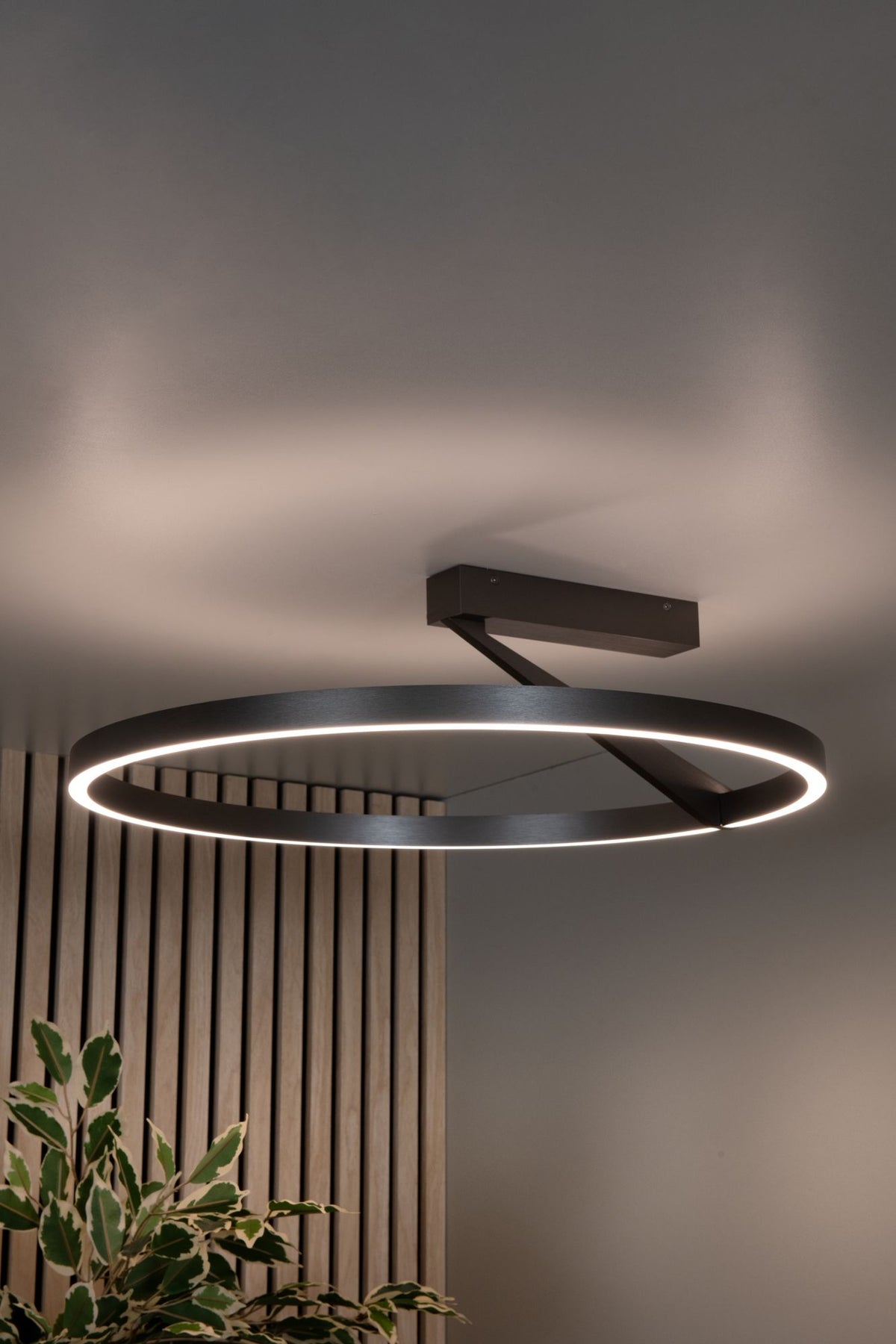 LED-Plafonnier Applause dimmable CCT avec télécommande Ø 60 cm (4)