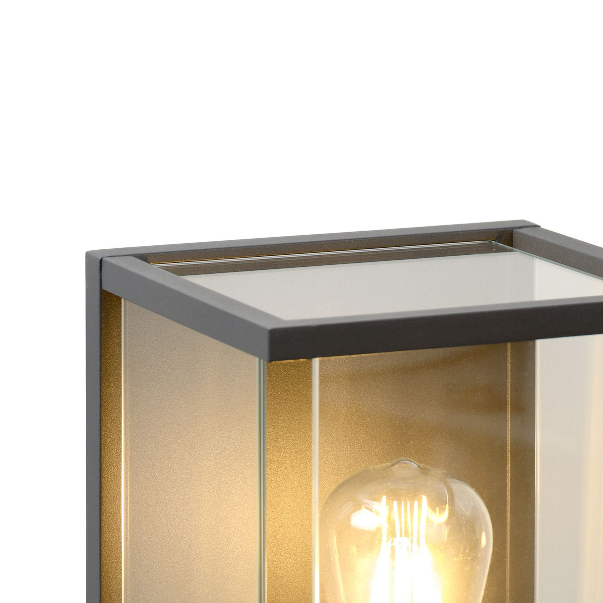 Außenwandleuchte Claire IP54 mit Glasschirm Anthrazit (5)