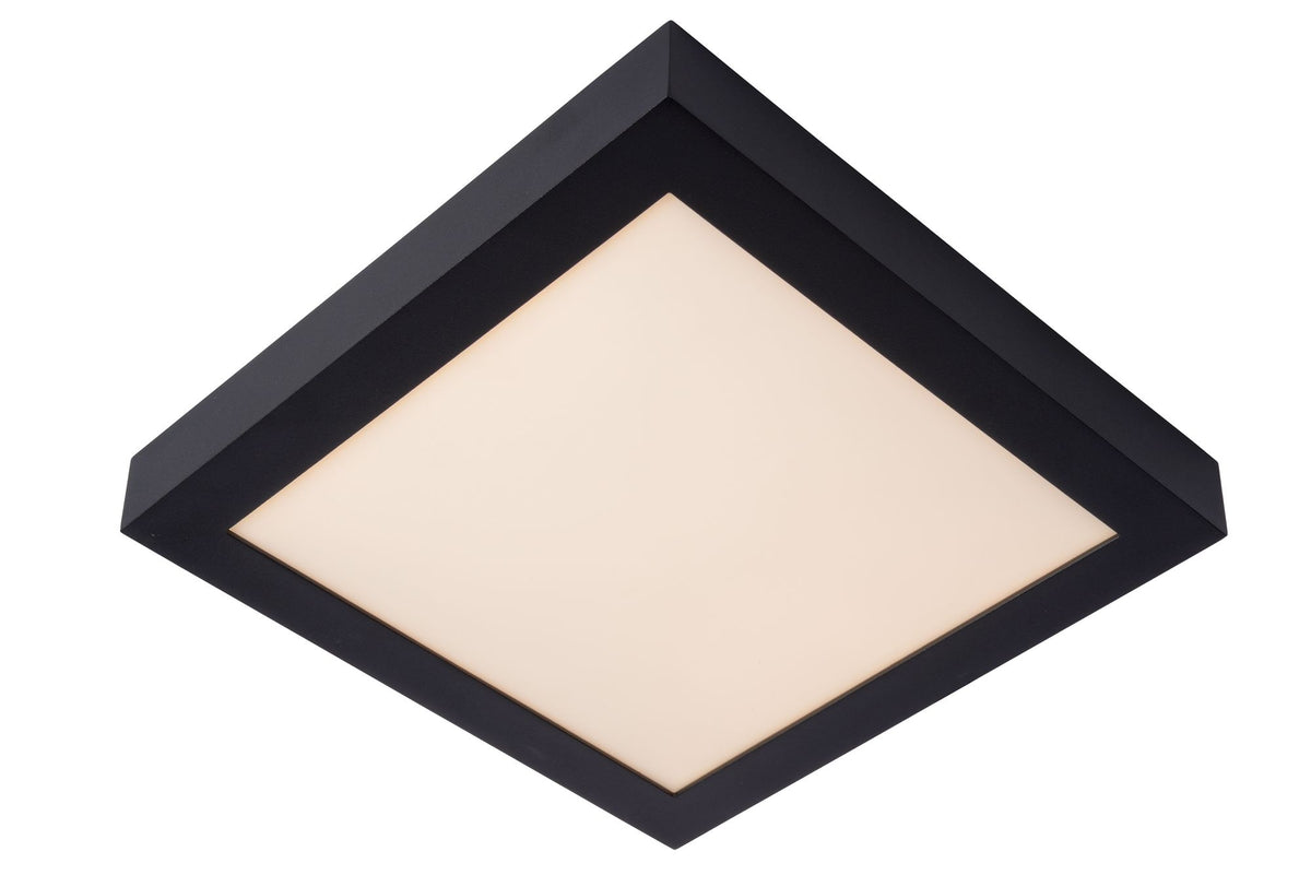 LED-Deckenleuchte Brice dimmbar IP44 30x30cm Badezimmer (1)