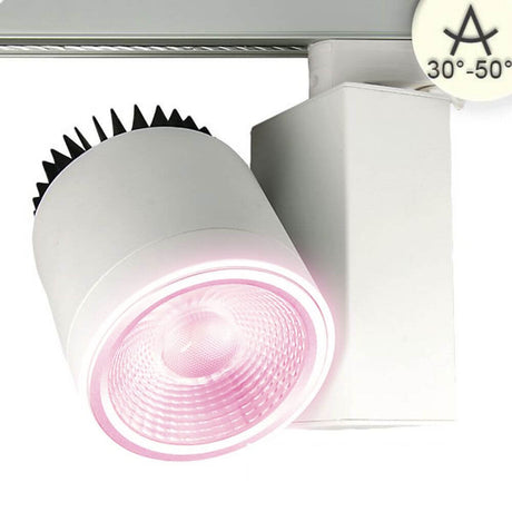 3-Phasen Metzgerei LED Strahler Fleischwaren 1230lm 40W 1900K Weiß an einer Decke montiert.