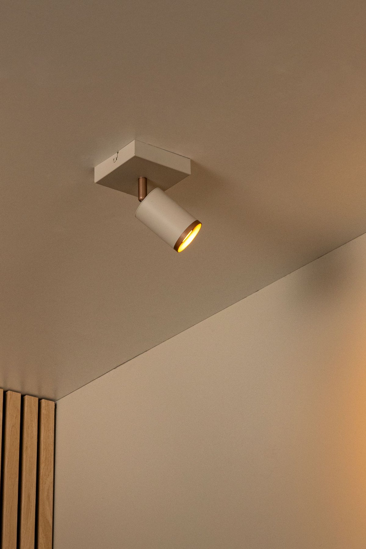 Deckenspot Regina 1-flammig schwenkbar Taupe (1)