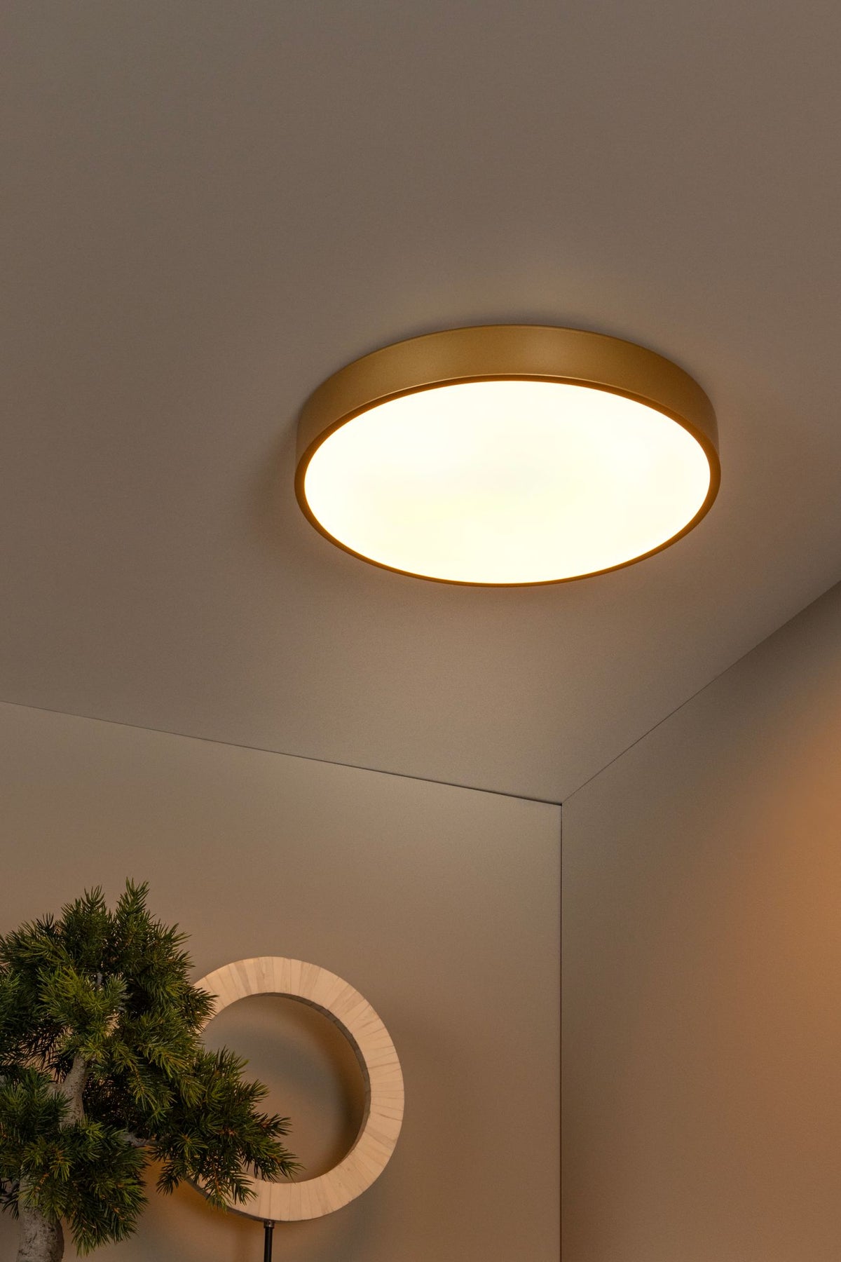 LED-taklampe Unar dimbar Ø 39,5 cm (4)