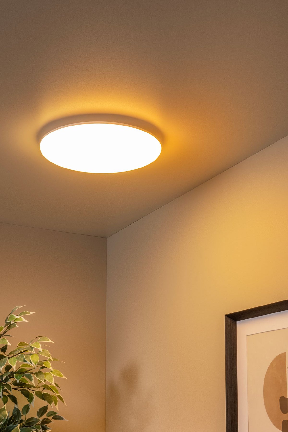 LED-Bad-Deckenleuchte Olson IP44 CCT 3000-6500K Ø35cm (1)