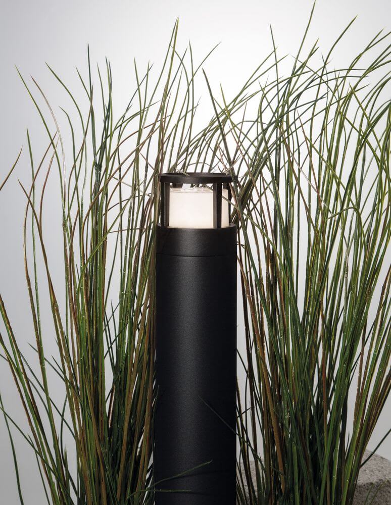 Agosto LED Außenwegeleuchte H 50cm Schwarz IP54 zwischen hohen Gräsern im Außenbereich.