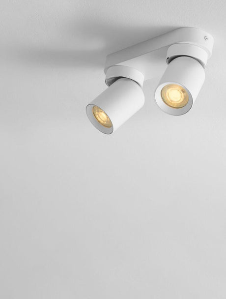 Amecy Lampa sufitowa 2-płaskowa 22x6,5 cm