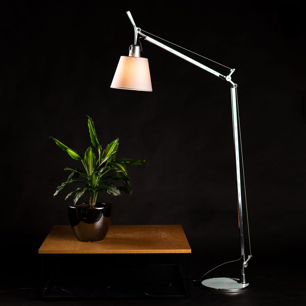 Artemide Tolomeo Basculante Tischlampe mit Pergamentschirm neben einer Pflanze auf einem Tisch