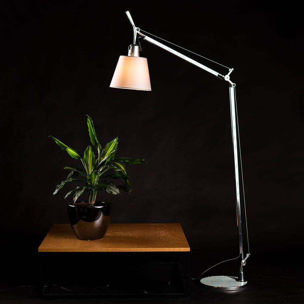 Artemide Tolomeo Basculante Tischlampe mit Pergamentschirm neben einer Pflanze auf einem Tisch