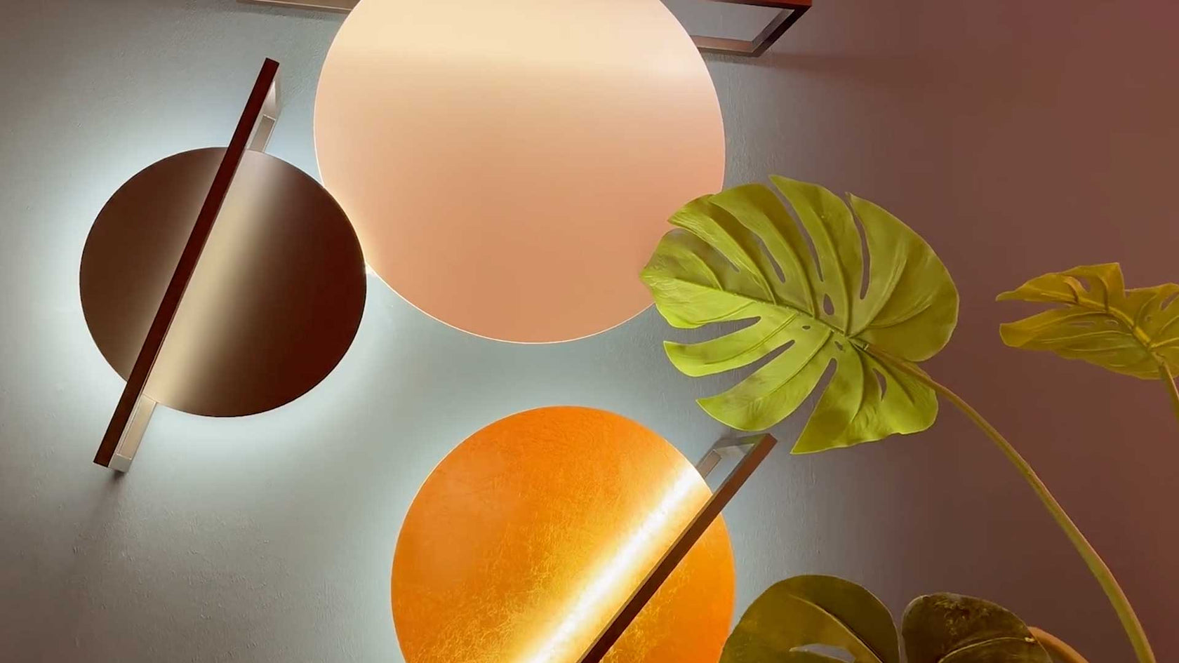 Moderne Wandbeleuchtung mit runden Leuchten und einer Monstera-Pflanze im Hintergrund.