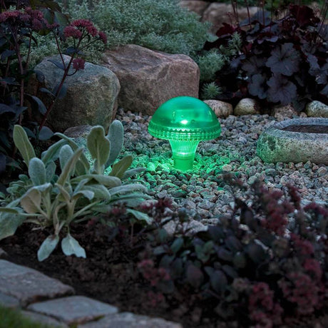 Assisi Cogumelo Lâmpada LED Solar Verde em um canteiro de jardim com plantas e pedras.