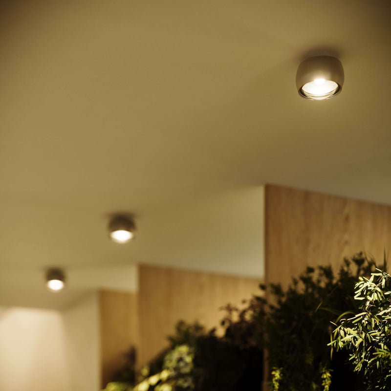 Moderne Deckenleuchten in einem stilvollen Raum mit Pflanzen, ideal für gemütliche Atmosphären.