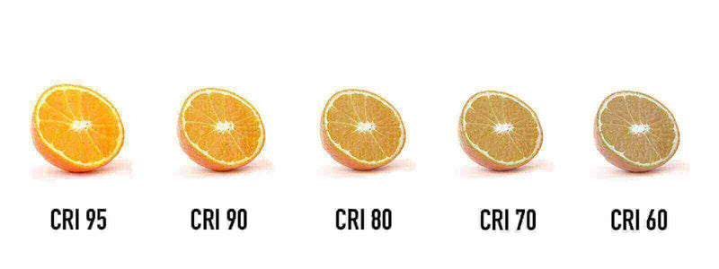 Presliced citrus fruits showcasing varying CRI ratings from 60 to 95 on a white background.