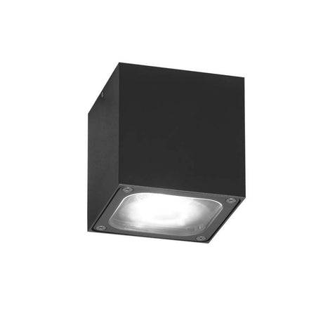 Cesena leidde aan de buitenkant van de plafondlamp
