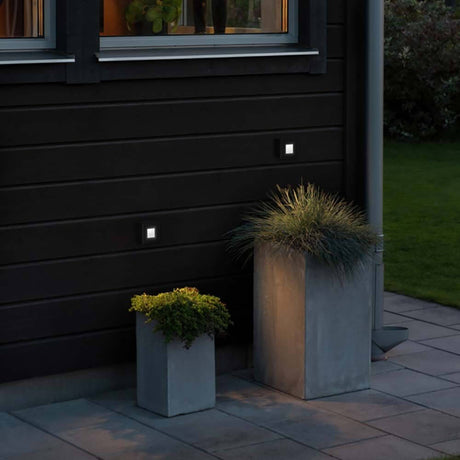Chieri LED outdoor wall light IP54 on a wall with modern plant containers outdoors.
