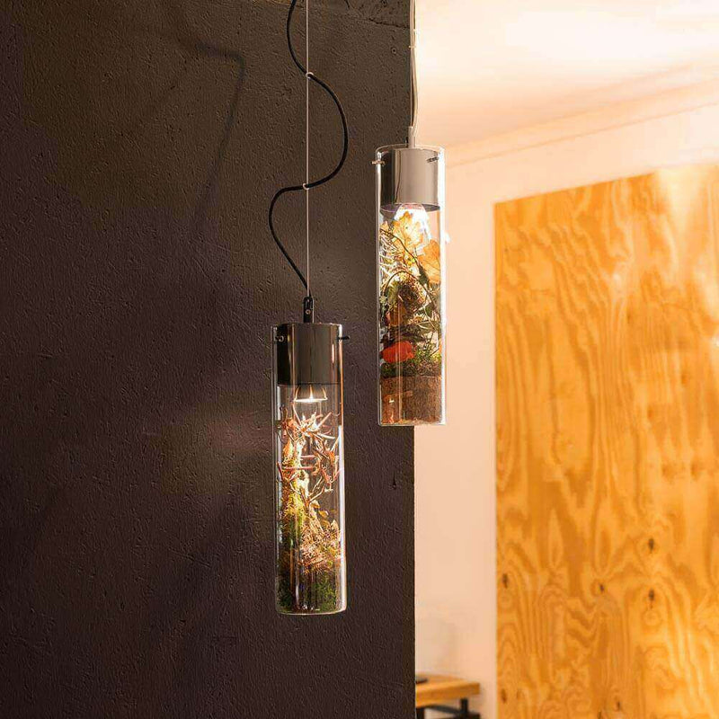 Zwei moderne Pendelleuchten in Glas, dekoriert mit natürlichen Elementen, an einer grauen Wand.