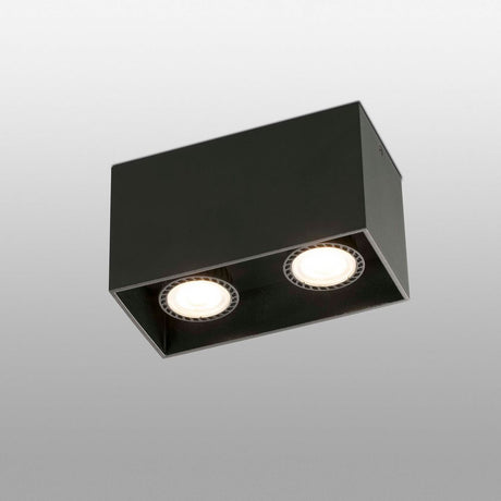 Ceiling light TECTO 2-light Black - modern black ceiling lamp with two light sources.