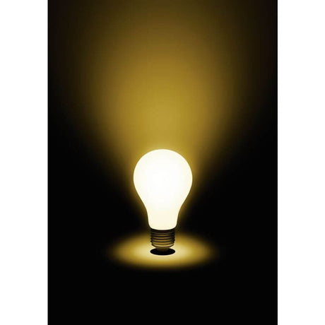 E27 LED A60 Milky Blanco cálido 2700K 1055lm 9W