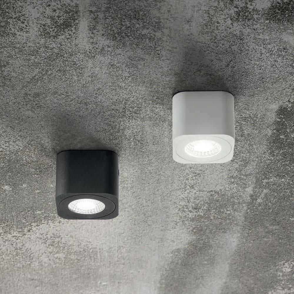 LED Deckenspot Palmi Weiß und Schwarz an einer Betondecke montiert.