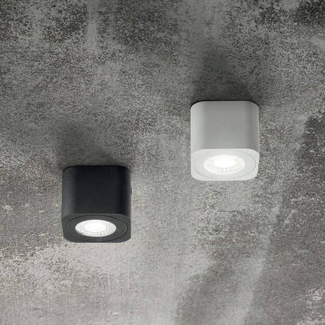 LED Deckenspot Palmi Weiß und Schwarz an einer Betondecke montiert.