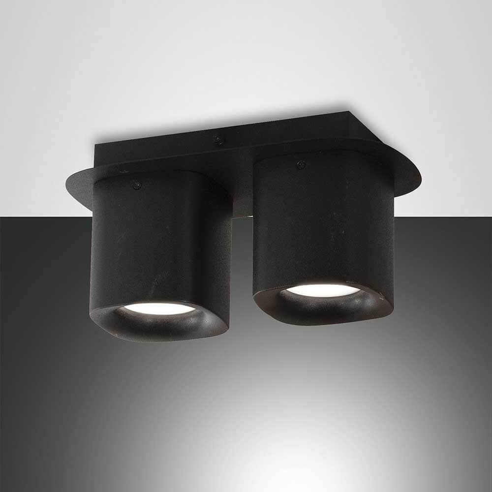 Smooth Spot aus Aluminium - moderne Deckenleuchte mit zwei runden Spots in elegantem Schwarz.