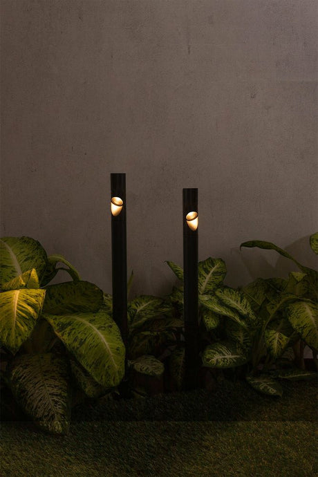 Bezel LED borne à piquer Schwarz IP65 illumine l’espace entre les plantes dans un jardin moderne.