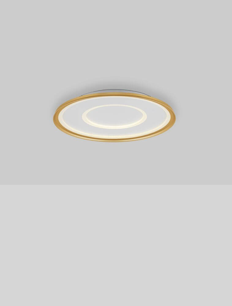 Figin LED Deckenleuchte 2-flammig 2700 5000K Weiß, Gold, moderne Deckenleuchte mit Fernbedienung.