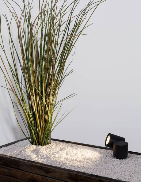 Focus udendørs spike lys sort IP54 oplyser en moderne beplantning i en have