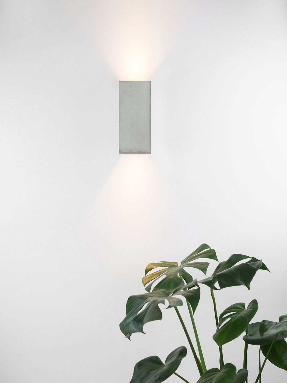 Alt Tag: Gantlights B8 Beton Wandlampe rechteckig Up & Down an weißer Wand mit warmem Up-&-Down Licht und Pflanzenakzent