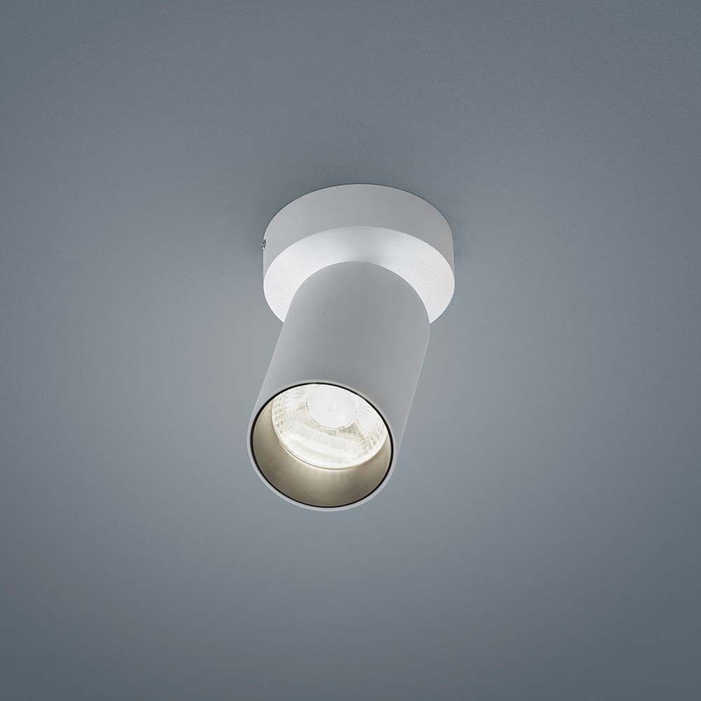 LED Deckenleuchte Riwa Weiß in modernem Design mit praktischem Spotstrahler.