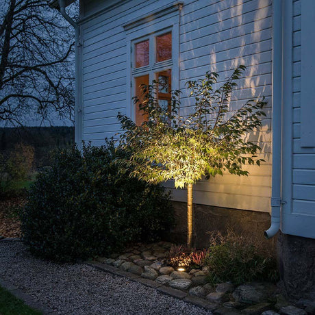 High Power LED recessed floor spotlight, stainless steel, clear glass illuminates a tree in front of a house.