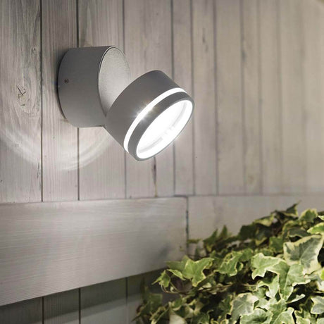 Omega LED Außen Wandstrahler an einer Wand mit Efeu im Vordergrund