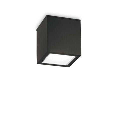 Techo utendørs taklampe IP54