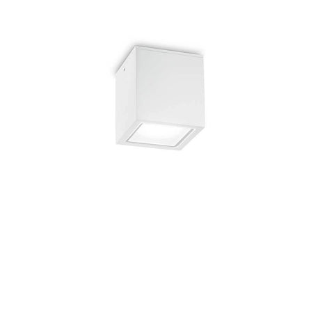 Techo utendørs taklampe IP54