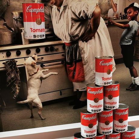Ingo Maurer LED Wall & pendant light Canned Light in a modern kitchen with Campbell's Tomato Soup cans.