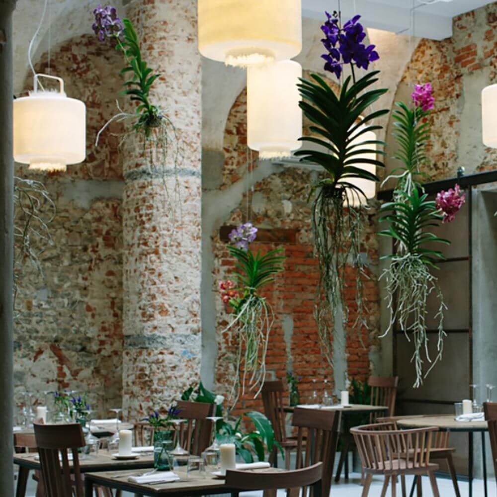 Moderner Innenraum mit Karman Kimono LED Hängeleuchten und hängenden Orchideen im Restaurant.