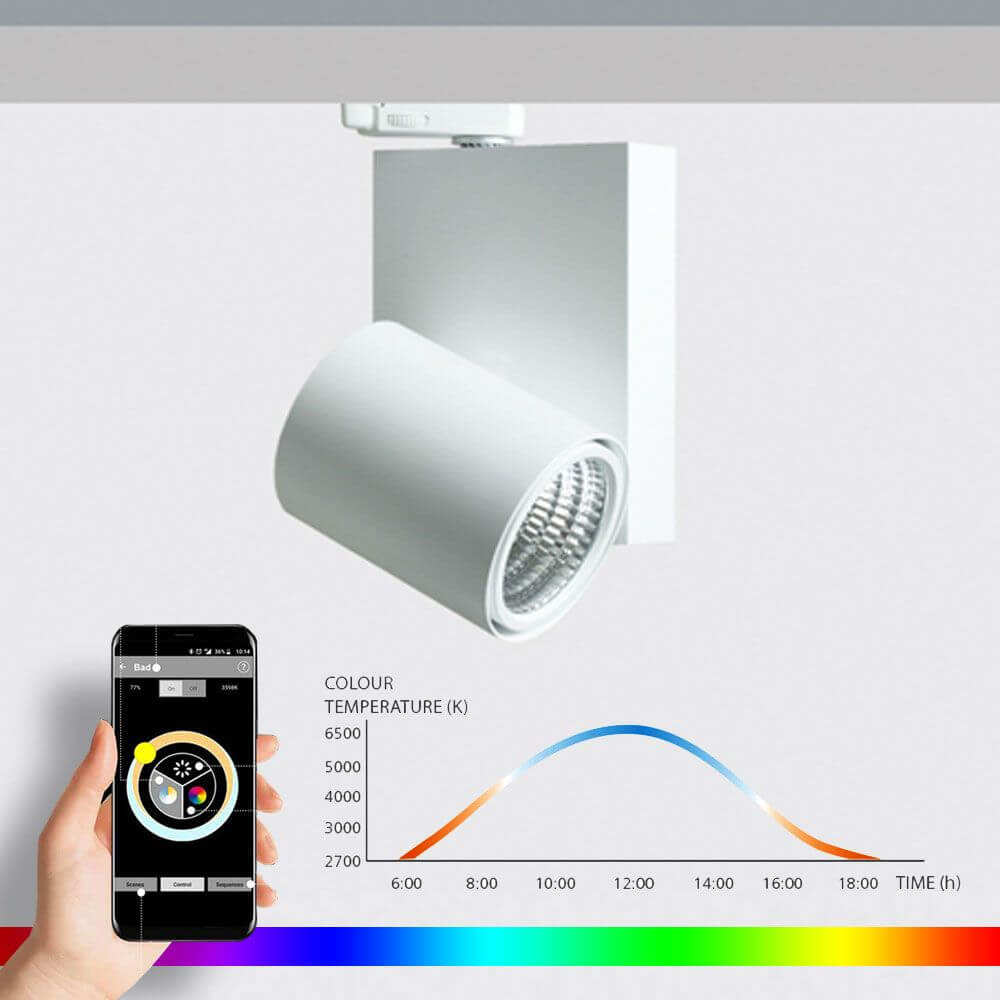K-Forum LED rail radiators RGBW CCT HCL Dali Neolink