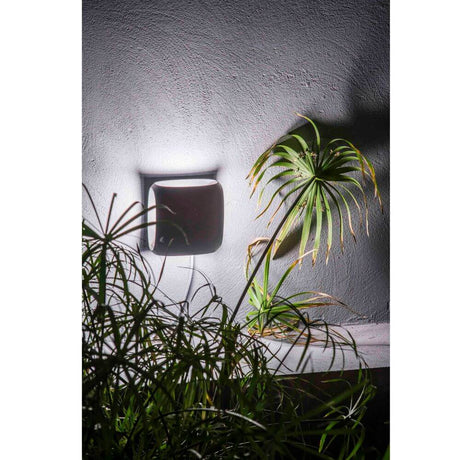 LED Außenwandleuchte BU-OH IP65 Dunkelgrau an einer Wand mit Pflanzen im Vordergrund.